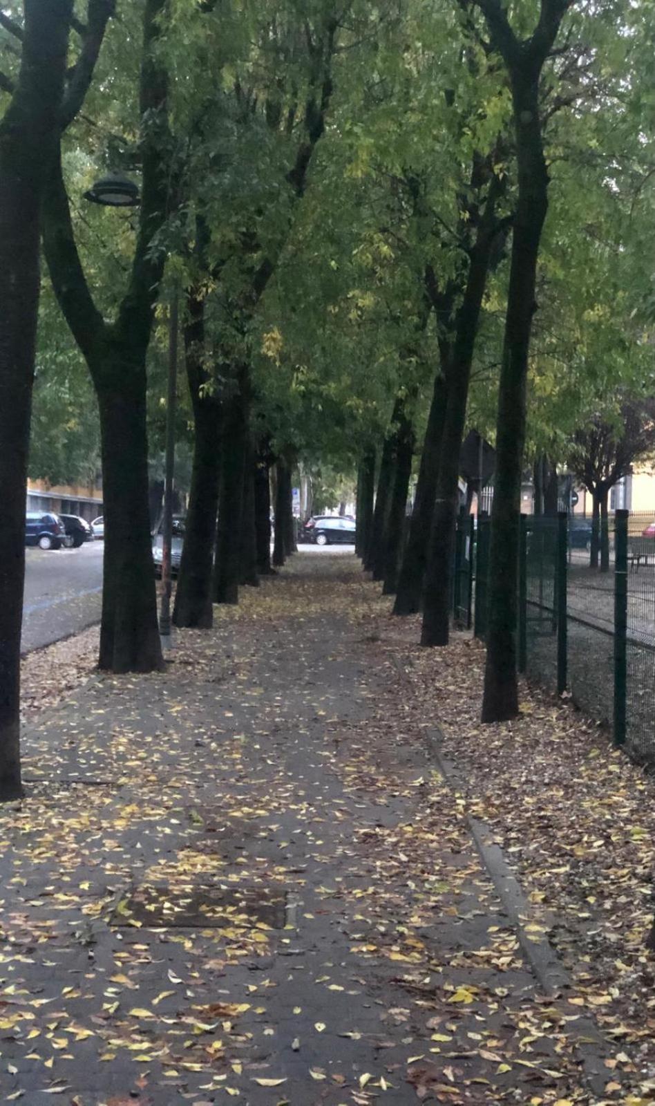 Casa Polly 2 - Ampio E Comodo Appartamento A Voghera Kültér fotó